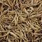 Jun Shan Yin Zhen (Silver Needle) Yellow Tea 2008 from Seven Cups