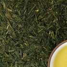 Sencha from Chado En