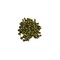 China Dragon Pheonix Pearl from Teaflection