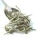 Silver Needle from Eteaket