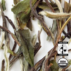 Organic Bai Mu Dan White Tea from Arbor Teas