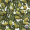 Organic Genmaicha Extra Green Tea from Arbor Teas
