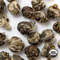 Organic Jasmine Pearl Green Tea from Arbor Teas
