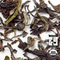 Organic Makaibari Oolong Tea from Arbor Teas