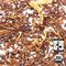 Organic Peach Rooibos from Arbor Teas