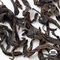 Organic Wu Yi Oolong Tea from Arbor Teas