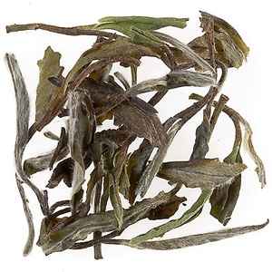 Paï Mu Tan from Dammann Freres