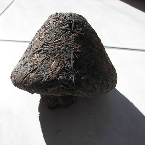2000 Jin Cha from Xia Guan (Tibetan Mushroom pu erh) from Cloudwalker Teas