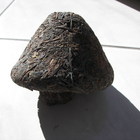 2000 Jin Cha from Xia Guan (Tibetan Mushroom pu erh) from Cloudwalker Teas