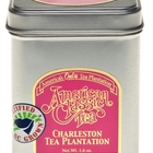 Rockville Raspberry from Charleston Tea Plantation