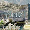 Serenitea: Ariel from Adagio Teas