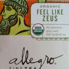 Feel Like Zeus from Allegro