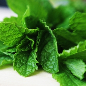 Basic Mint Tea - from the garden from Custom