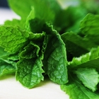 Basic Mint Tea - from the garden from Custom