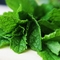 Basic Mint Tea - from the garden from Custom