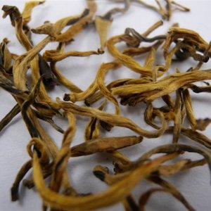 2010 Spring Imperial Yunnan Jinggu Black Tea from JK Tea Shop