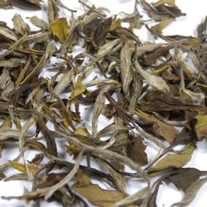 2010 Spring Organic Imperial White Peony White Tea from JK Tea Shop