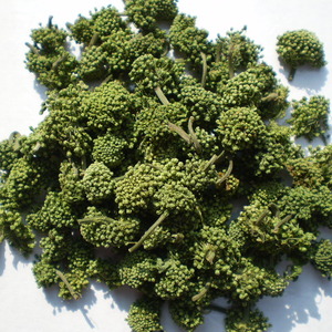 2009 Yunnan Imperial Pseudo-ginseng(Tian Qi) Flower from JK Tea Shop