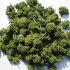 2009 Yunnan Imperial Pseudo-ginseng(Tian Qi) Flower from JK Tea Shop