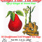 Ginger Pear from Eastern Shore Tea Company
