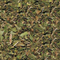 Mint Condition from Tea Oh