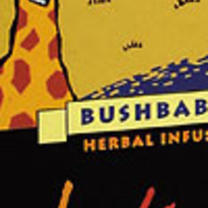 Rooibos & Honeybush Bushbabies from Intaba Teas of Africa