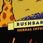 Rooibos & Honeybush Bushbabies from Intaba Teas of Africa