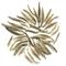 Silver Needles from Imperial Tea Court