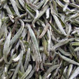 Bai Hao Yin Zhen from jing tea shop
