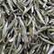 Bai Hao Yin Zhen from jing tea shop