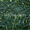 Organic Kabusecha from O-Cha.com