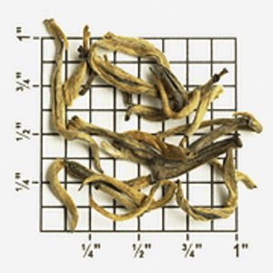 Yunnan Golden Tips Imperial (ZY85) from Upton Tea Imports