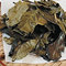 Kyobancha from Maiko