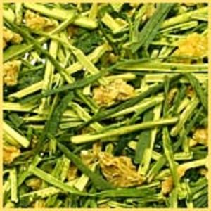 Sencha Yuzu from Rishi Tea