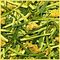 Sencha Yuzu from Rishi Tea