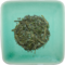 Guayusa and Green Tea from Stash Tea Company