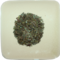 Guayusa and Ginseng Oolong Tea from Stash Tea Company