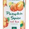 TFM Pumpkin Spice Tea from The Republic of Tea