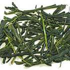 Gyokuro from TeaZone