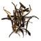 Song Zhen from Thés de Cru