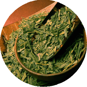 Chelsea Sencha from T Salon