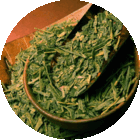 Chelsea Sencha from T Salon