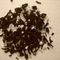 Snow Flake from Sands Of Thyme