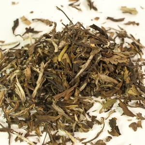 Kiwiburst from Shui Tea