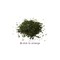 Gyokuro Asahi Rare Green Tea from Teaflection