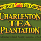 2007 First Flush from Charleston Tea Plantation