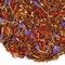 Rooibos Secret Wine from Praise Tea Company