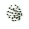 Gunpowder Imperial Pinhead Spring 2009 organic from Tea Trekker