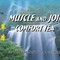 Muscle and Joint Comfort Tea from Midori Trading Inc