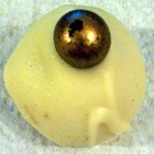 Masala Chai Tea-Infused Chocolate Truffle from Arbor Teas